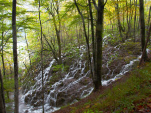 Discover a serene corner of Plitvice National Park, where a waterfall forms amidst a verdant forest hill.