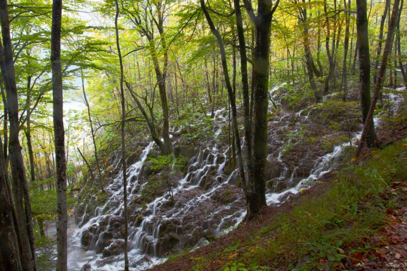 Discover a serene corner of Plitvice National Park, where a waterfall forms amidst a verdant forest hill.