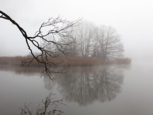 This tranquil image captures a lone island amidst a foggy lake, mirrored by bare fall branches in the Czech Republic.