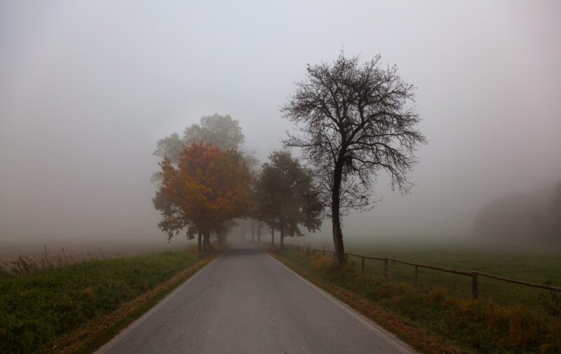 Explore the tranquil beauty of Czech landscapes with this evocative print depicting a lonely, fog-enveloped road during autumn