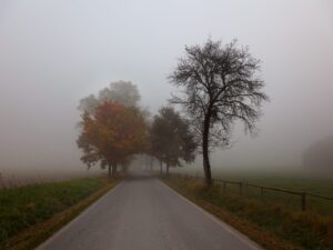 Explore the tranquil beauty of Czech landscapes with this evocative print depicting a lonely, fog-enveloped road during autumn