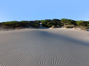 Experience the serene beauty captured in the intricate patterns etched by coastal winds on the sands of Costa de la Luz, Spain.