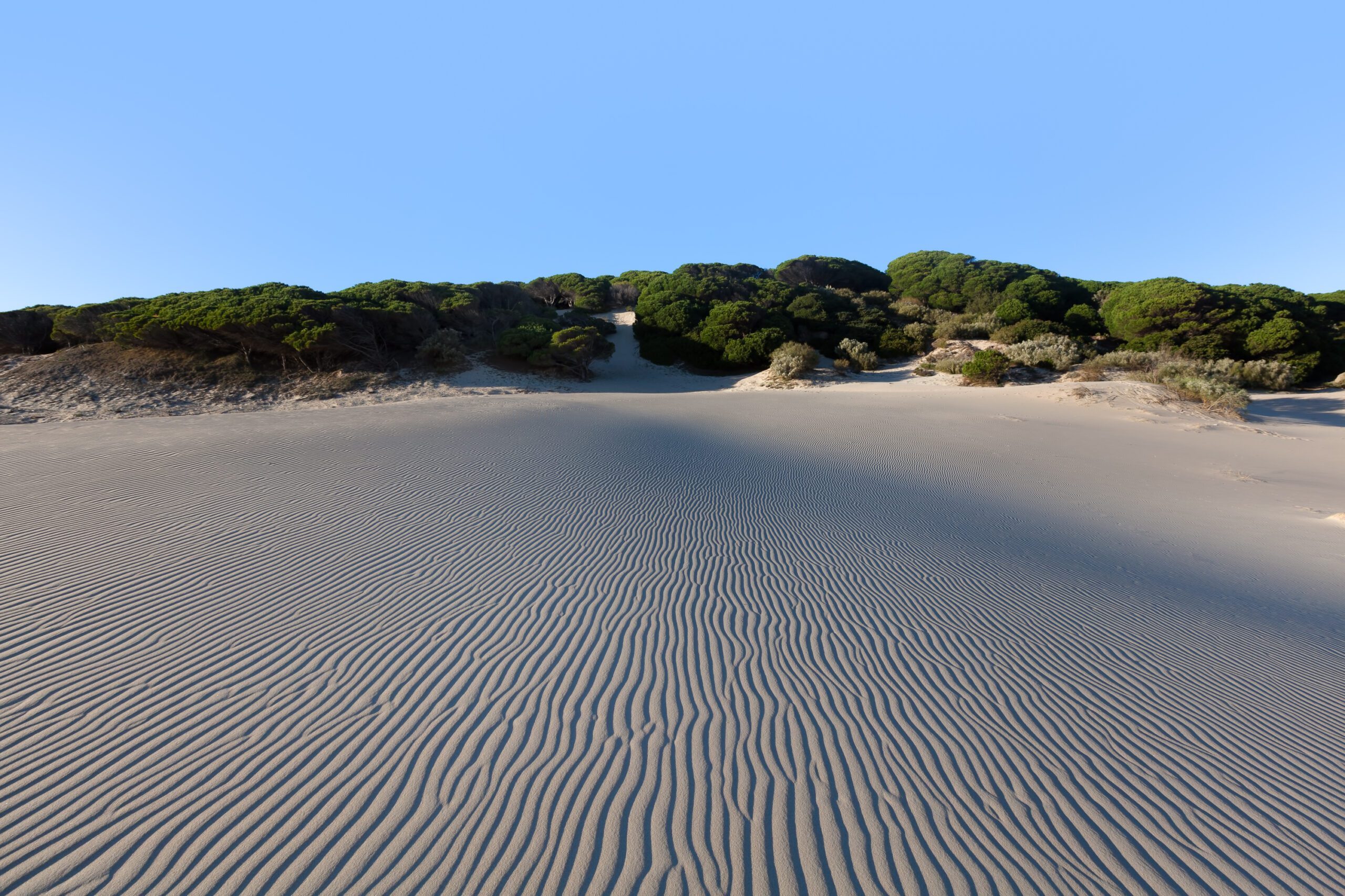 Experience the serene beauty captured in the intricate patterns etched by coastal winds on the sands of Costa de la Luz, Spain.