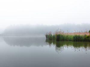 A tranquil depiction of Sudoměř Pond at dawn, where mist meets the soft embrace of reeds and distant shores whisper secrets.