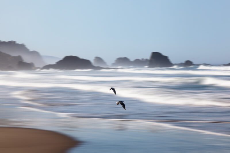 Experience the tranquility and grace captured in this striking image, portraying seagulls soaring over the vibrant waves at Indian Beach, Oregon.