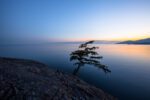 A lone tree overlooking a tranquil inlet, painting a picturesque scene of nature’s tranquility during sunset in Vancouver, Canada.