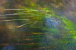 Croatian Nature Art, Fluid Motion Photography, Plitvice Lakes Scene, River Currents Artistry