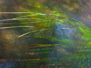 Croatian Nature Art, Fluid Motion Photography, Plitvice Lakes Scene, River Currents Artistry