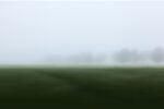 Immerse yourself in the minimalist landscape, where the morning mist unveils the distant whispers of ancient trees.