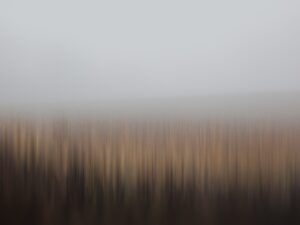 This captivating piece portrays a Southern Czechia field, beautifully immersed in thick fog