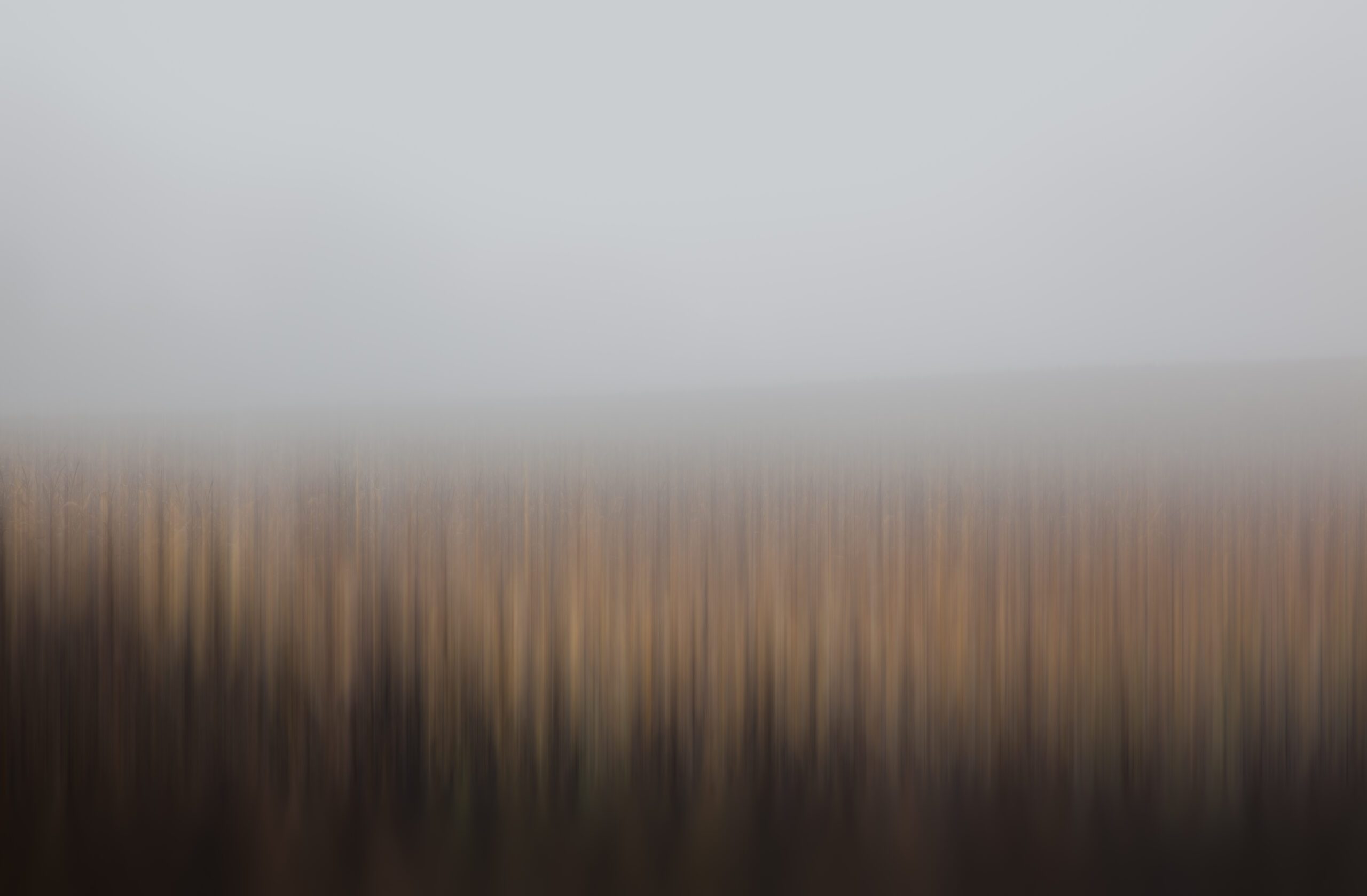 This captivating piece portrays a Southern Czechia field, beautifully immersed in thick fog