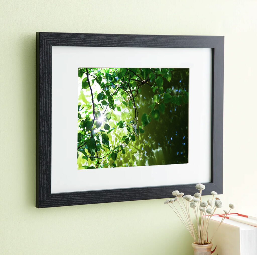 frame black with image