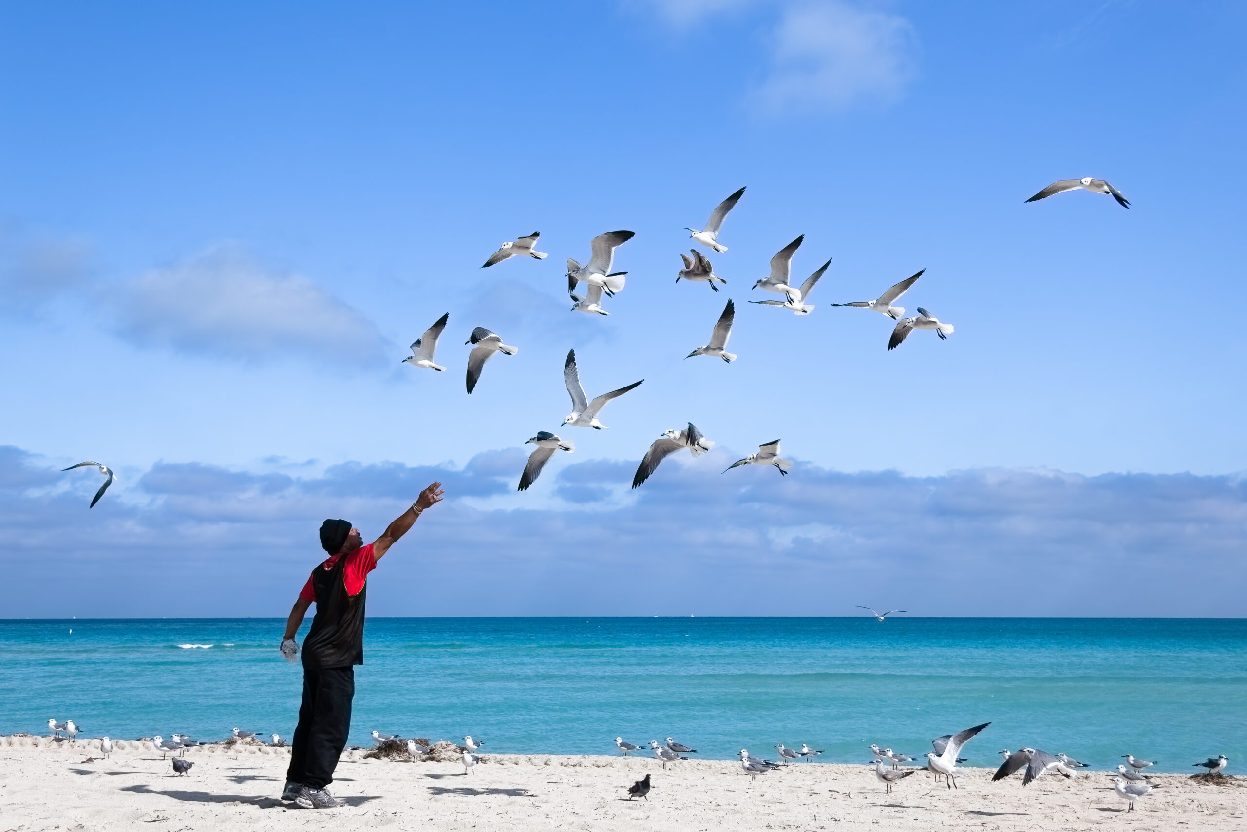 Immerse in the vibrant energies of Miami Beach, captured in a moment where man meets nature