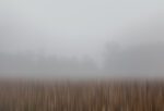This piece reveals the serene beauty of a fog-enveloped harvest field in southern Czechia,