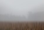 This piece reveals the serene beauty of a fog-enveloped harvest field in southern Czechia,