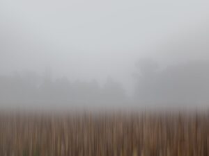 This piece reveals the serene beauty of a fog-enveloped harvest field in southern Czechia,