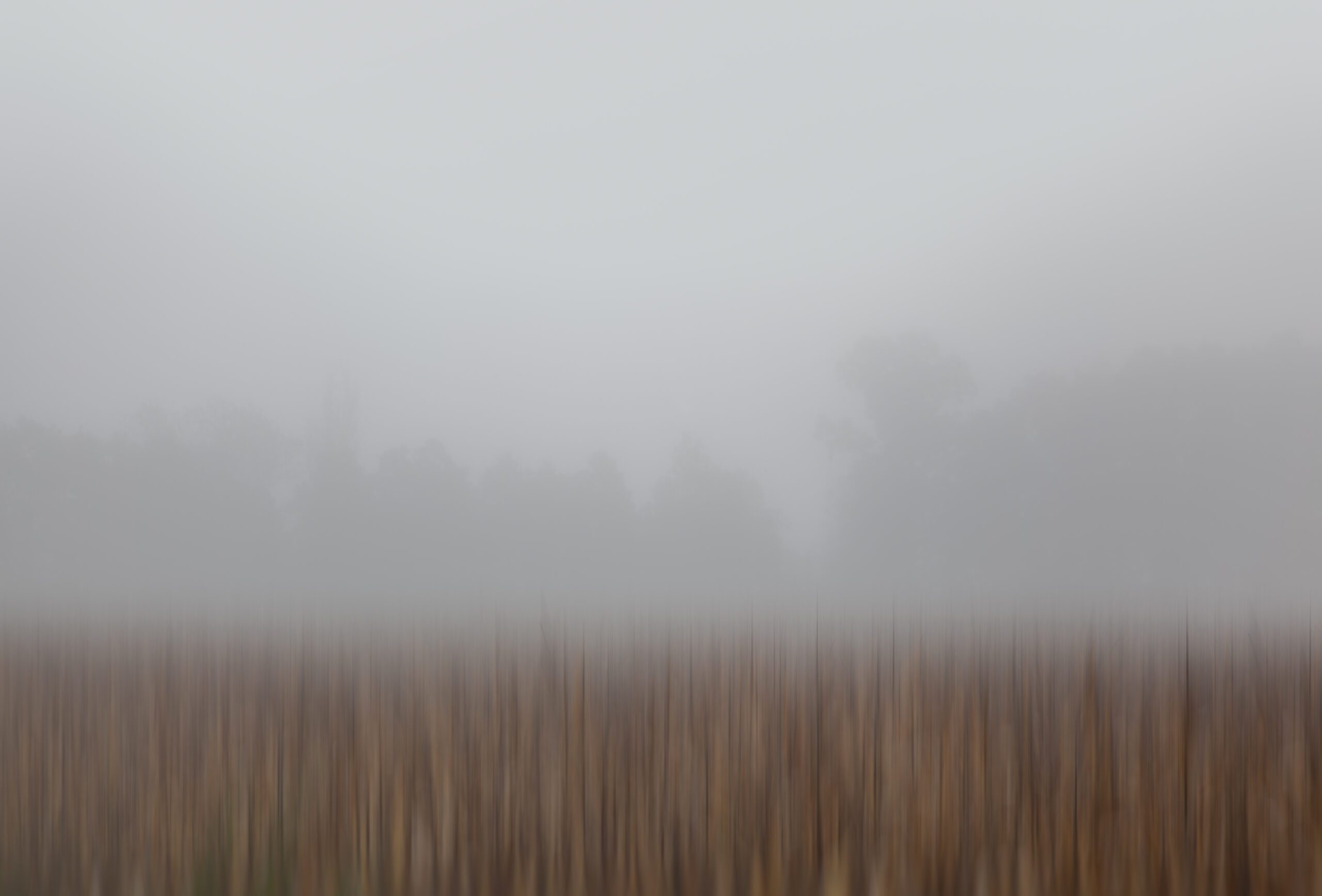 This piece reveals the serene beauty of a fog-enveloped harvest field in southern Czechia,