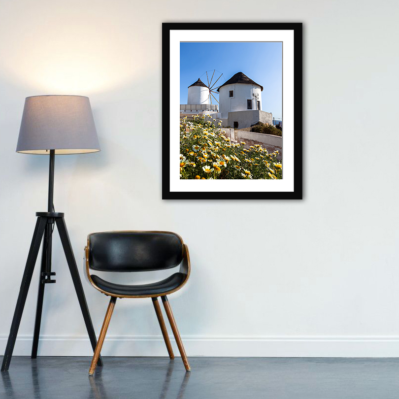 White windmill in Oia, Santorini surrounded by yellow and white flowers under a clear blue sky.